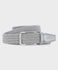 Women's Elastic Light Grey Belt